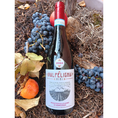 Montepulciano d'Abruzzo DOP - VALPELIGNA VINI
