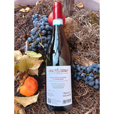 Montepulciano d'Abruzzo DOP - VALPELIGNA VINI