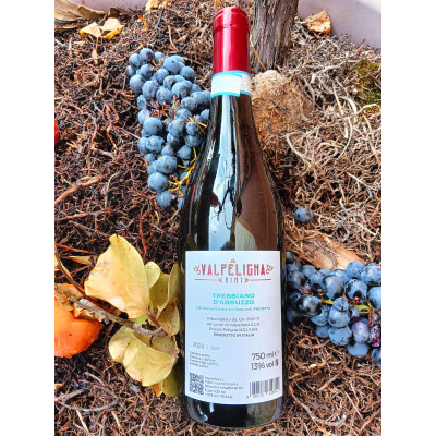 Trebbiano d'Abruzzo DOP - VALPELIGNA VINI